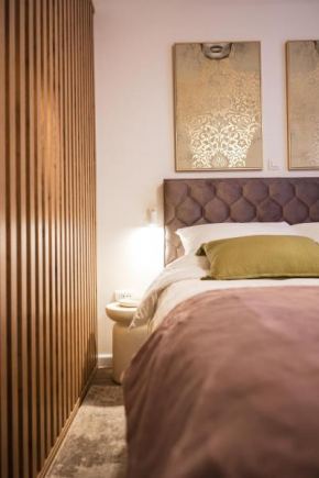 Charming studio apt in city center